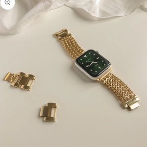 38/40/41 Apple Watch Gold Band and Case